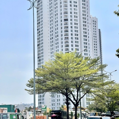 Bán nhà mặt phố q7 trần xuân soạn: 1322m2, 3 tầng, 30pn, 32wc - giá 265 tỷ - sổ hồng, vị trí vàng, kinh doanh đỉnh cao!