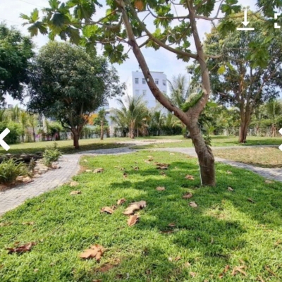 + Đất lô góc mai chí thọ, Hoà Xuân, 2 mặt tiền đường 10,5m lề 5m, gần sông thoáng mát.