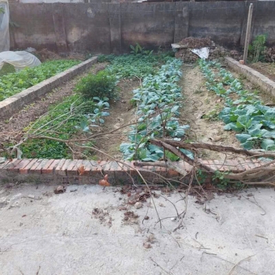 Bán đất Tráng Việt - Mê Linh - HN. Full thổ cư, oto đỗ. Gần cầu Thượng Cát. Cơ hội đầu tư đẹp