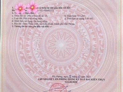 Mặt đường 362 Minh Tân  113,2m² trục lớn 30m – hàng hiếm kinh doanh  ZALO 0567 222 555