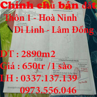 Chính chủ bán đất tại Thôn 1, hoà Ninh ,huyện Di Linh, tỉnh lâm đồng