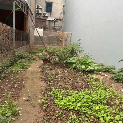 BÁN ĐẤT HƯƠNG MẠC TỪ SƠN DT 50M2 VÀI BƯỚC RA Ô TÔ TRÁNH SÁT BÊN KHU PHÂN LÔ VĨNH THỊ DÂN CƯ ĐÔNG ĐÚC TIỆN ÍCH NHỈNH 1 TỶ