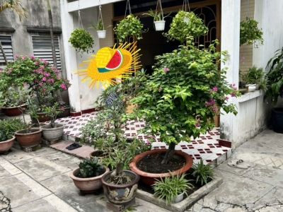 Nhà hẻm 276/91/11 Thống Nhất, Phường 16, Gò Vấp, Hẻm 3m, 10x22m, Cn 218,9 m2, Cấp 4, 16,5 tỷ TL