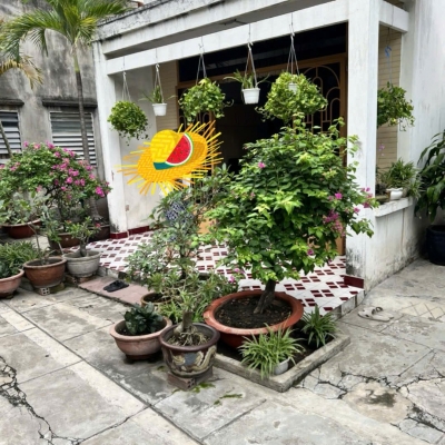 Nhà hẻm 276/91/11 Thống Nhất, Phường 16, Gò Vấp, Hẻm 3m, 10x22m, Cn 218,9 m2, Cấp 4, 16,5 tỷ TL