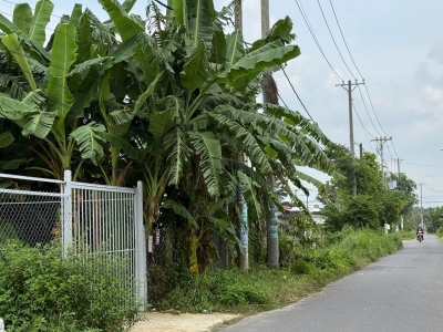 Chính chủ bán đất dt 400m2 MT Trần Quang Đạo,Tân Thông Hội, Củ Chi