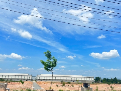 D146 chuyển nhượng quỹ đất 3ha, hạ tầng KCN hoàn thiện, sẵn sàng bàn giao SX liền