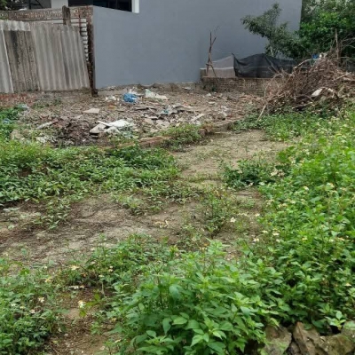 Rẻ và đẹp như này không mua thì mua ở đâu đất vạn 3 124m giá cho ae đầu tư khu vực đân cư than thiện tiện ích xung quanh đầy đủ oto vao dat 20m