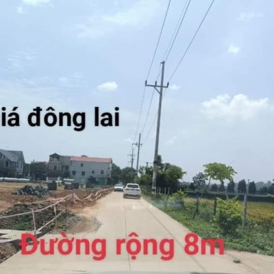 HÀNG HIẾM CÓ TẠI KHU VƯC ĐÔNG LAI QUANG TIẾN DT 97 M MT 732