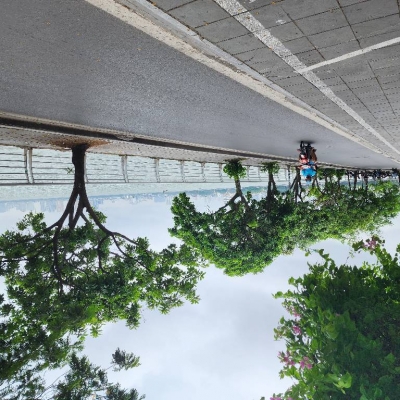 Bán nhà Nguyễn Đình Thi, gần hồ, gần phố, 70m², mặt tiền 5m vuông đẹp, giá hợp lý