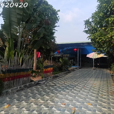 Bán GẤP nhà vườn 6145m full hồng riêng 300m thổ cư hồ bơi, nhà mới chỉ 5 tỷ (giá ngộp)