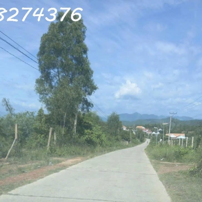 Chính chủ cần bán 8.189m² đất xã Tân Định, Khánh Hòa, giá đầu tư chỉ 330.000vnđ/m²