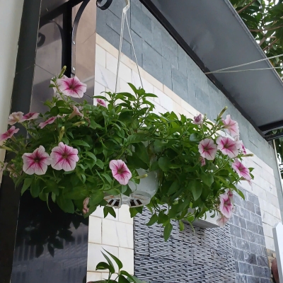 #  Thẳng 25m ra MT Trần Xuân Lê, 135m2, ngang 6m, vuông, sân rộng sạch đẹp, 4.x tỷ