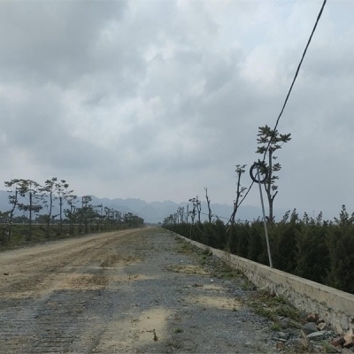 Bán 4ha đất công nghiệp 50 năm tại Huyện Hưng Hà, Tỉnh Thái Bình