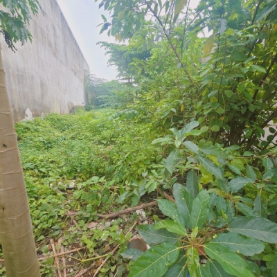Bán đất 1000m²  P.Biên Hòa mới,gần chợ Hóa An,SHR đường xe hơi,giá mềm