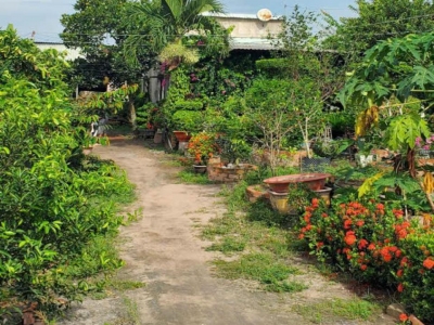 Đất Vườn HXT 722m2, Nở hậu – Xuân Thới Thượng 2 HM