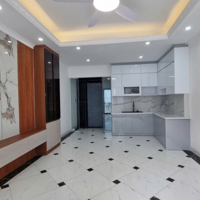 Tư Đình Long Biên - Thang máy - Gara ô tô - Kinh doanh bất chấp - 8.8 t.ỷ