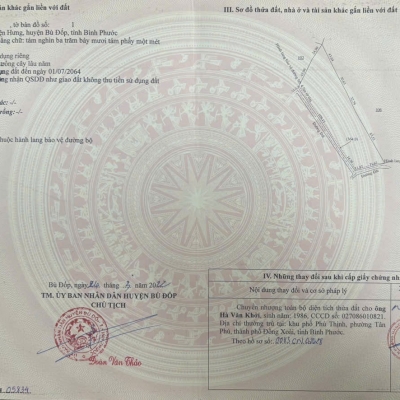 BÁN RẪY CAO SU CẠO NĂM THỨ 2, 8,3 SÀO 2 TỶ