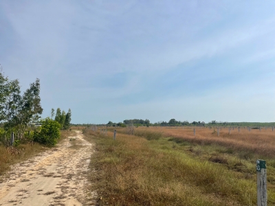 Bán 1009m2 đất khu rừng Vàng LaGi, Lâm Đồng gần biển giá ngộp 1.25 tỷ