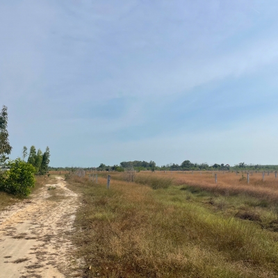 Bán 1009m2 đất khu rừng Vàng LaGi, Lâm Đồng gần biển giá ngộp 1.25 tỷ