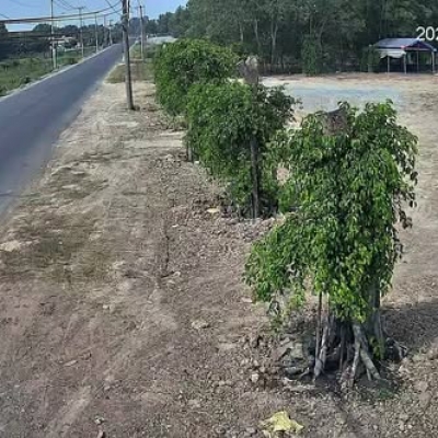 Bán đất 2 mặt tiền đường 10.183m2 giá 85 tỷ Đường Tỉnh Lộ 7