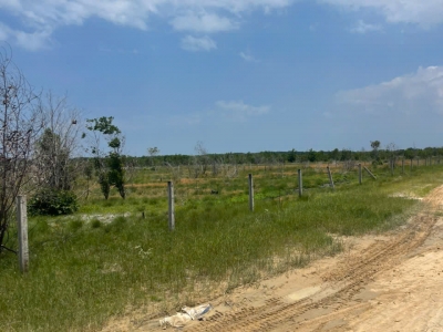 Bán gần 6 sào đất đường số 1, Tân Bình, LaGi giảm 50% chỉ 1.14tr/m2 gần biển