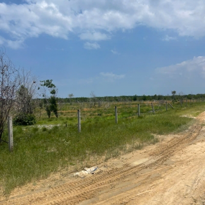 Bán gần 6 sào đất đường số 1, Tân Bình, LaGi giảm 50% chỉ 1.14tr/m2 gần biển