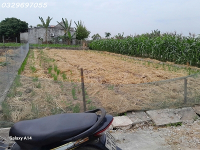 Cần tiền bán nhanh lô đất siêu đẹp trung tâm thị trấn Quất Lâm, Dt 212m2, giá 2,1 tỷ