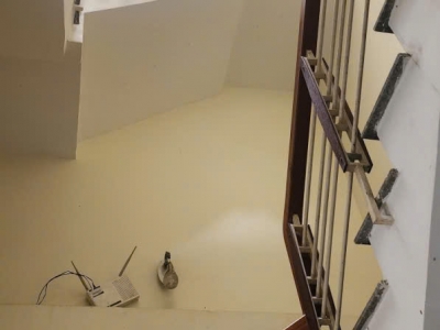 ♥ Kiệt Ô tô 5m Điện Biên Phủ, 50m2, 3 tầng đúc cứng cáp, kinh doanh giá đầu tư 4.xx tỷ