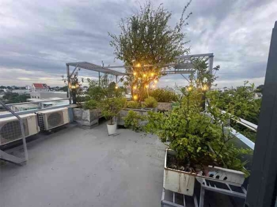 XUÂN THỚI ĐÔNG HÓC MÔN TRỤC NHƯA 8M, 3TẦNG, 160M2, NHINHT 6T