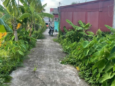 Giá hiếm 6xx triệu – Lô 62.3m² tuyến 2 Bình Minh, Nam Đồ Sơn, đầu tư sinh lời nhanh – ZALO 0567 222 555