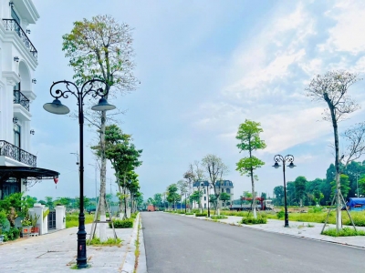 Cần bán 90m2 đất Khu đô thị biển  Hải Hòa, Nghi Sơn,TH đường 17.5m giá chỉ 2Tỷ090. LH 0969 346 836