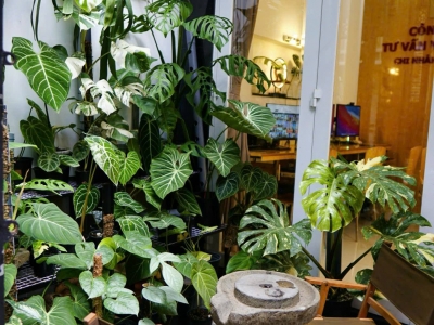 PHÚ NHUẬN nhà 3 TẦNG BTCT - 5 PHÚT QUA Q1- 50m RA MẶT TIỀN PHAN ĐÌNH PHÙNG - 9,850 TỶ TL