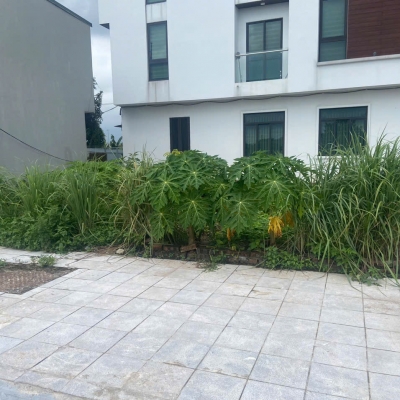 Bán đất đấu giá Mai Lâm Đông Anh- 80m mặt tiền =hậu 5m-Hàng xóm Vin Cổ Loa 10 tỷ (TL)