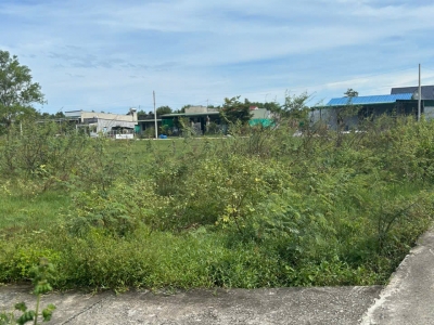 Bán 813m2 đất ODT Phước Hội - LaGi kế 577 gần Biển giá ngộp 180tr/m ngang