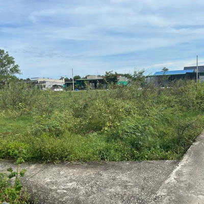 Bán 813m2 đất ODT Phước Hội - LaGi kế 577 gần Biển giá ngộp 180tr/m ngang