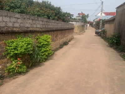 Siêu phẩm đất nền trung tâm Chu Điện lỤC NAM Bắc Giang, giá chỉ hơn 3 triệu/m², pháp lý rõ ràng