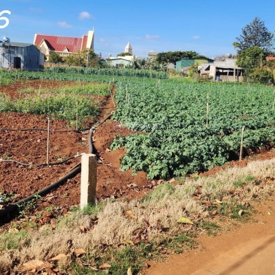 CẮT LỖ BÁN NHANH LÔ ĐẤT siêu đẹp tại TuTra Xã Đơn Dương, Lâm Đồng