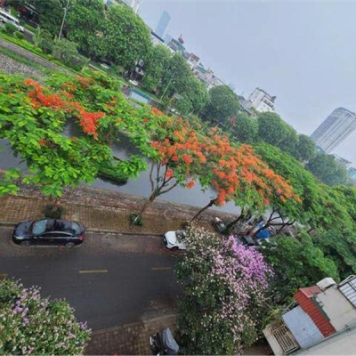 Bán nhà Quan Hoa, Cầu Giấy ,42 m2, 5 tầng, 4m mặt tiền, Giá đất  từ  13.9 tỷ.