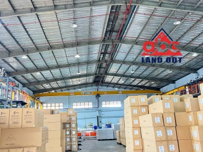 XT119 cho thuê xưởng sản xuất, tiếp nhận linh hoạt ngành nghề, có sẵn nhiều cầu trục