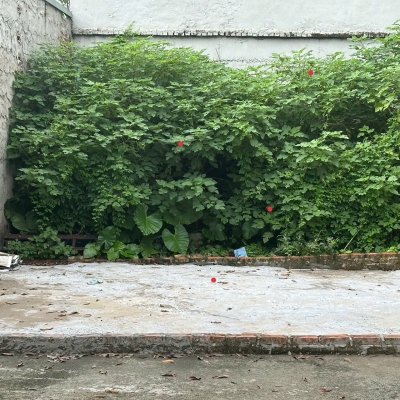 BÁN ĐẤT DƯƠNG ĐỨC HIỀN DT 65M2 VÀI BƯỚC RA CHỢ DÂN SINH TRƯỜNG HỌC VUÔNG VẮN GIÁ HƠN 2 TỶ