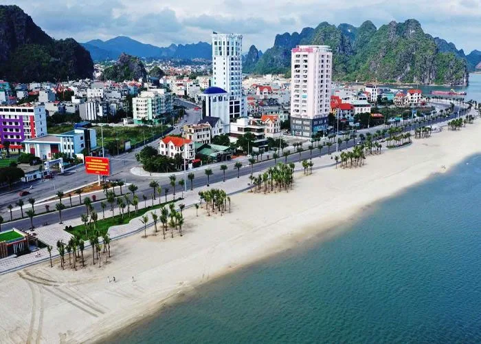 Tổng công ty Xây dựng và Phát triển hạ tầng Licogi