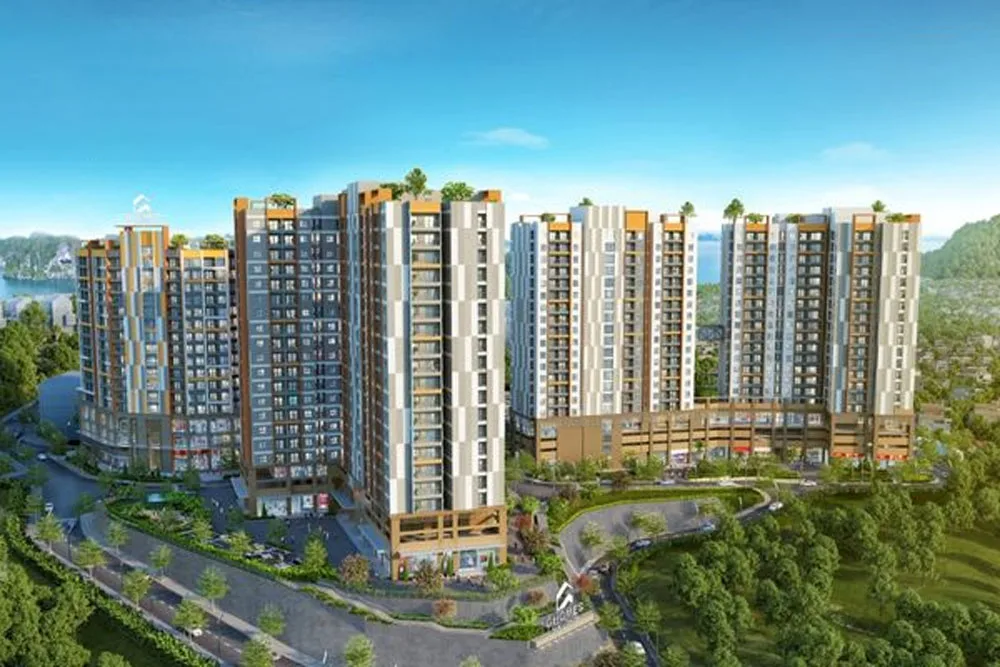 Công ty Cổ phần Cát Lợi Holding 