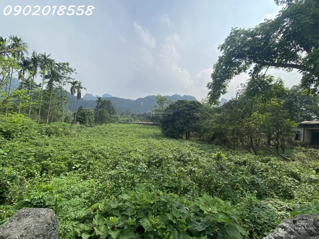📍 Chỉ khoảng 1 giờ lái xe từ trung tâm Hà Nội, cách QL21 chỉ 1km, gần khu vực Vành đai 5.